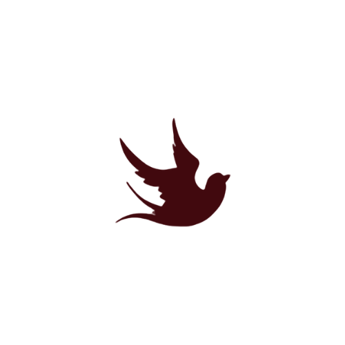 Brown Dove 