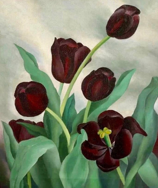 Georgia O'Keeffe - Hardcover